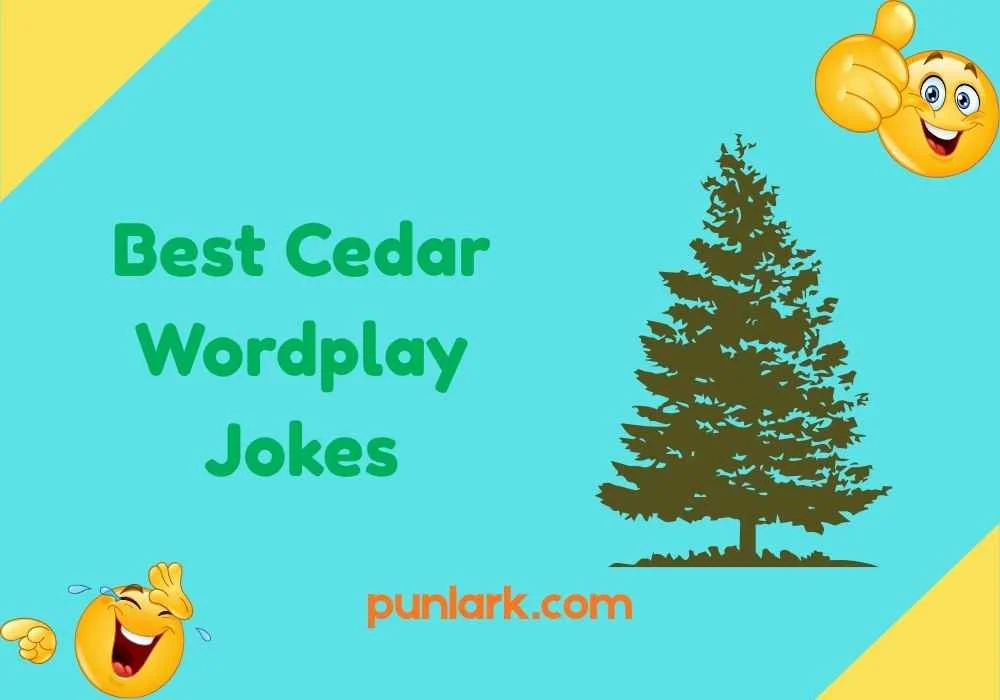 Best Cedar Wordplay Jokes