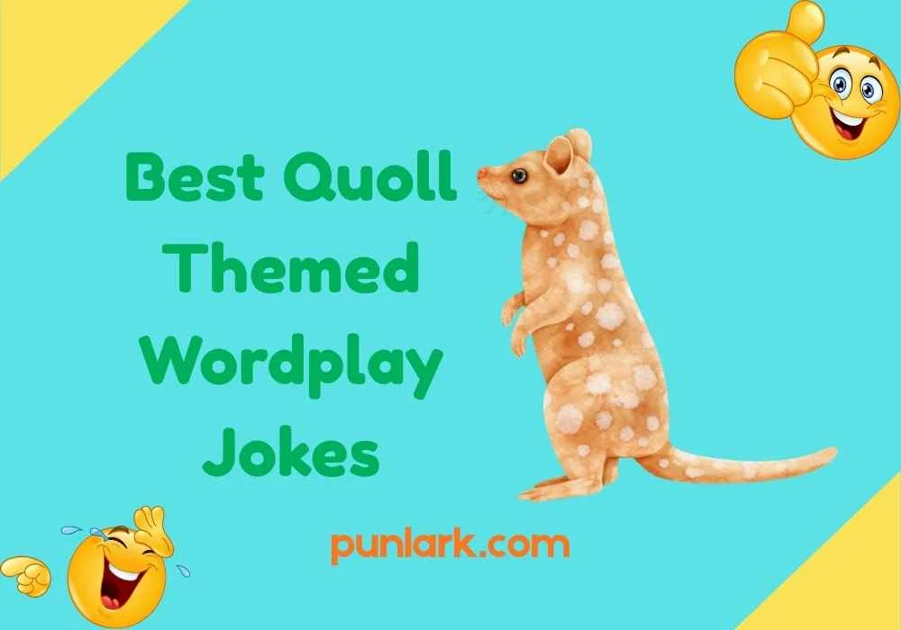 Best Quoll Themed Wordplay Jokes