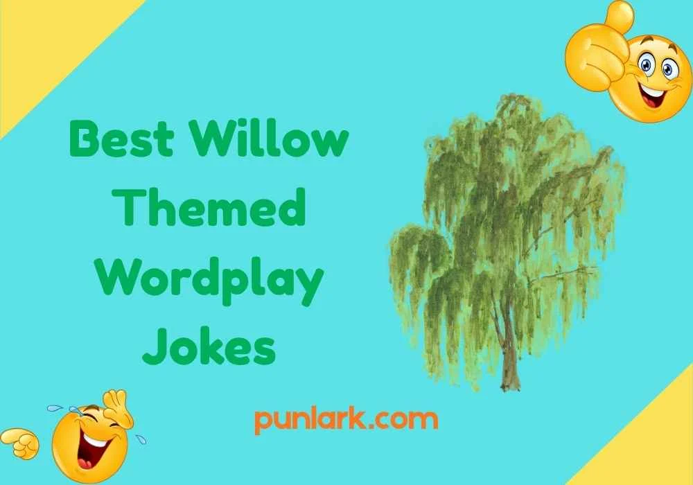 Best Willow Themed Wordplay Jokes