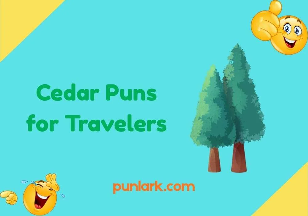 Cedar Puns for Travelers