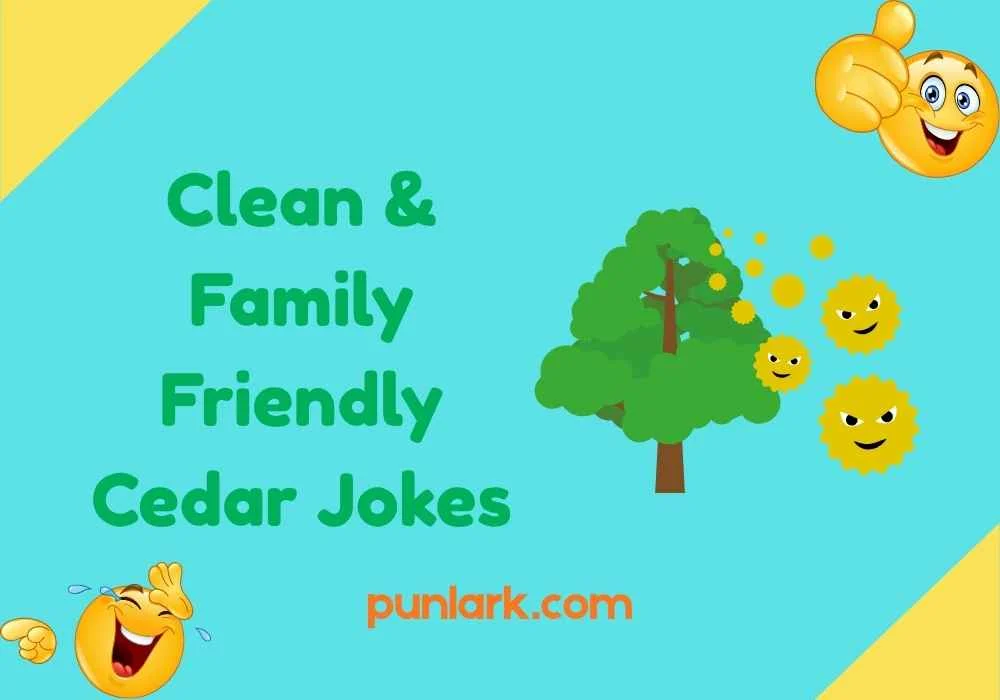 Clean & Family Friendly Cedar Jokes