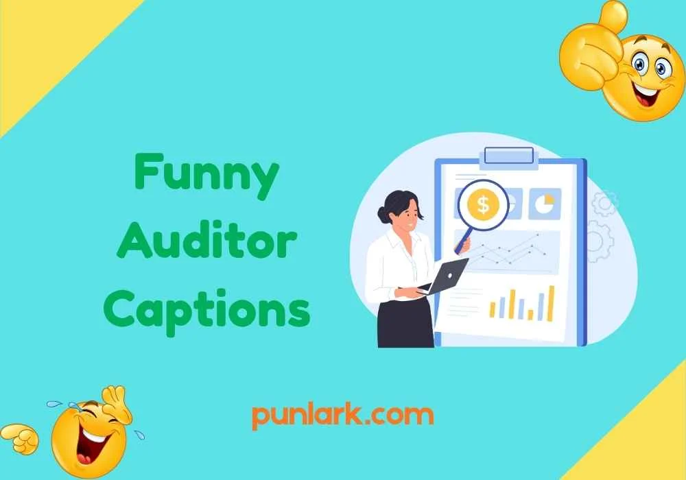 Funny Auditor Captions