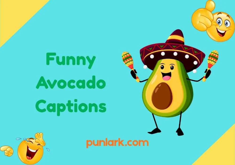 Funny Avocado Captions