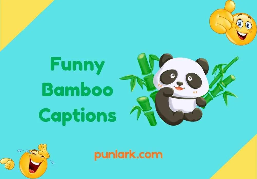 Funny Bamboo Captions