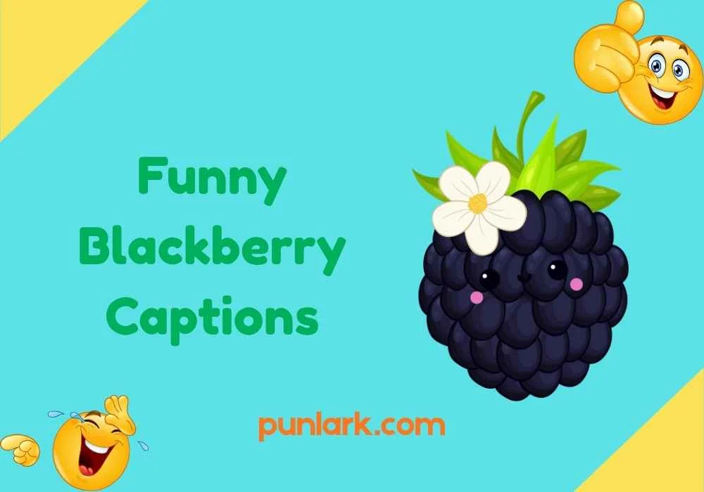 Funny Blackberry Captions