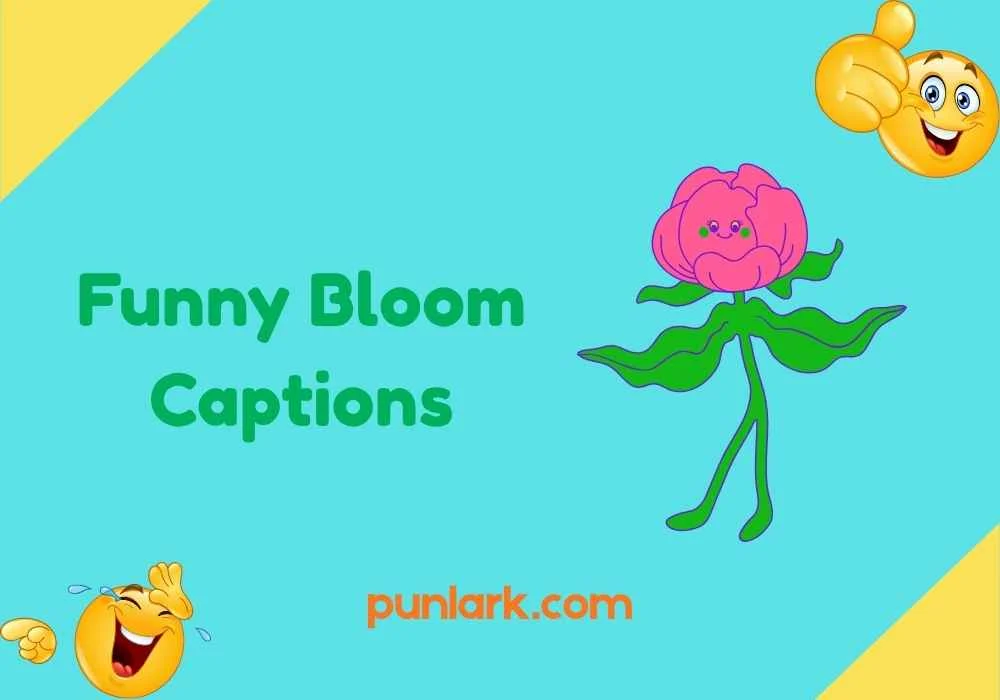 Funny Bloom Captions