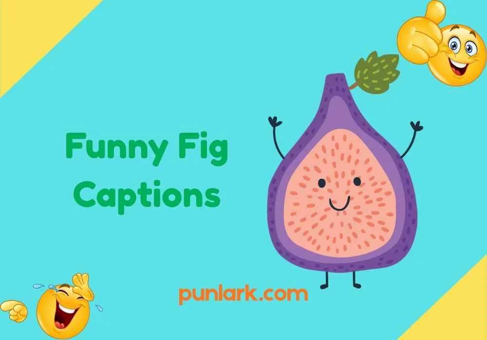 Funny Fig Captions