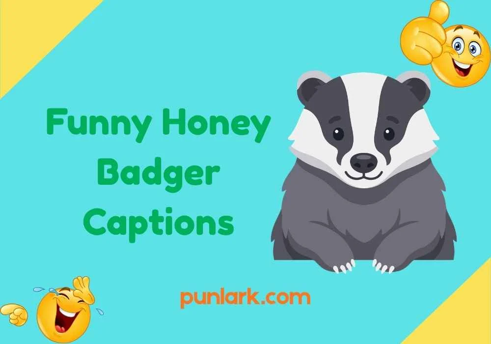 Funny Honey Badger Captions