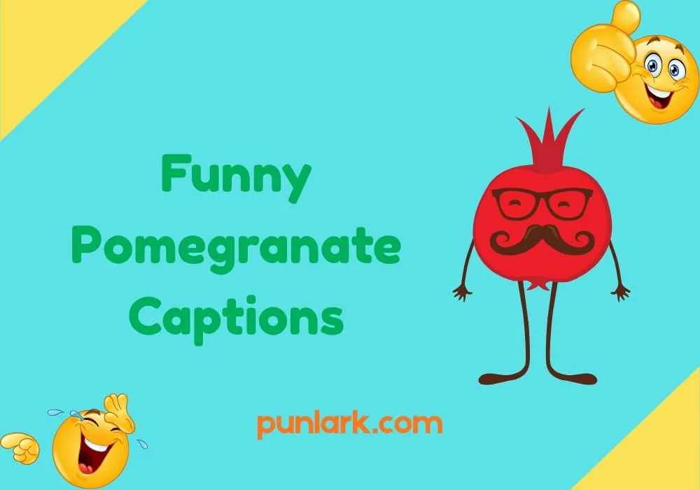 Funny Pomegranate Captions