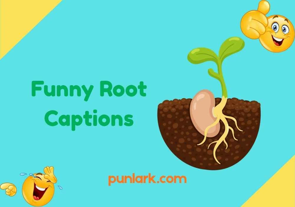 Funny Root Captions