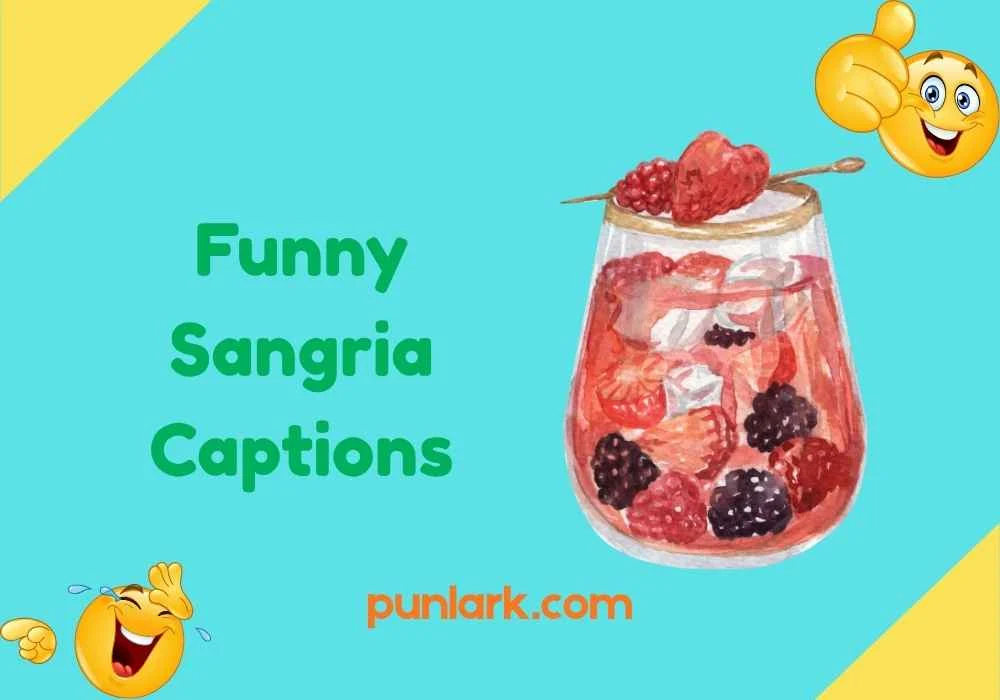 Funny Sangria Captions