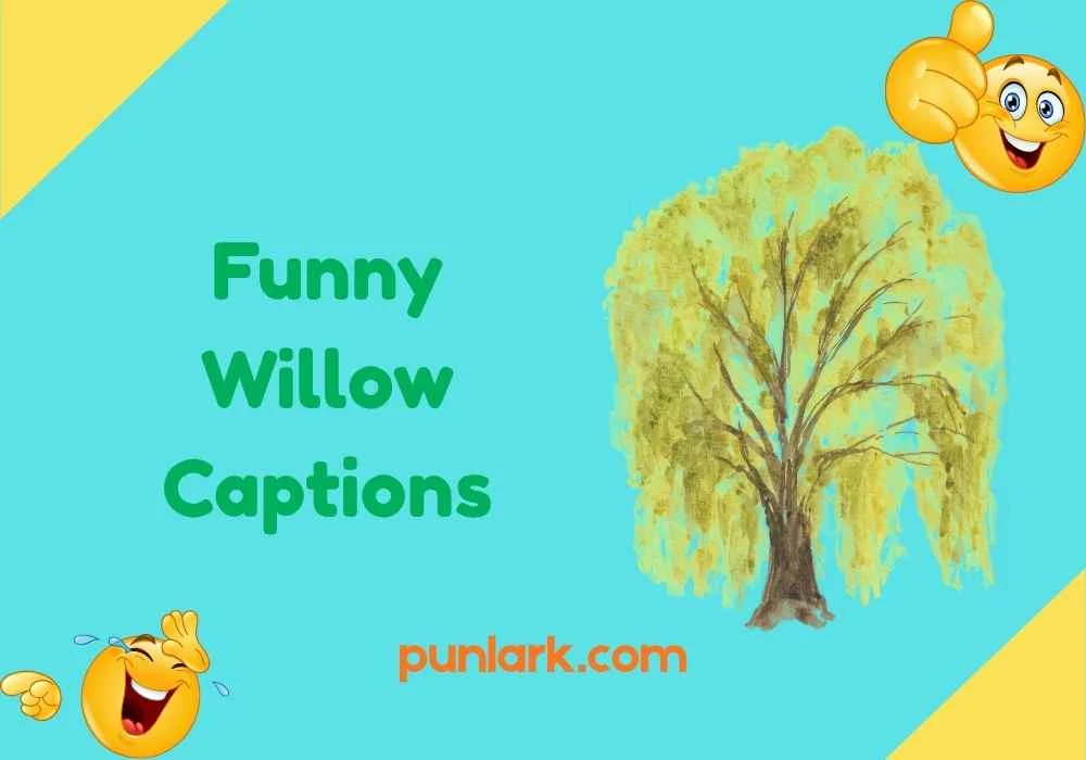 Funny Willow Captions