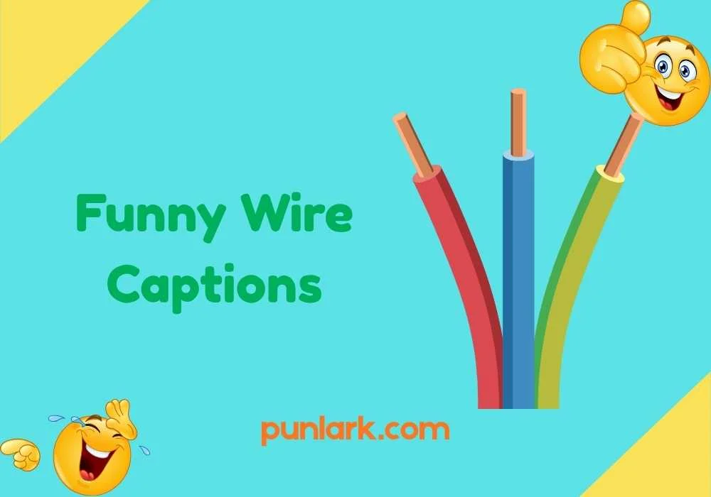 Funny Wire Captions