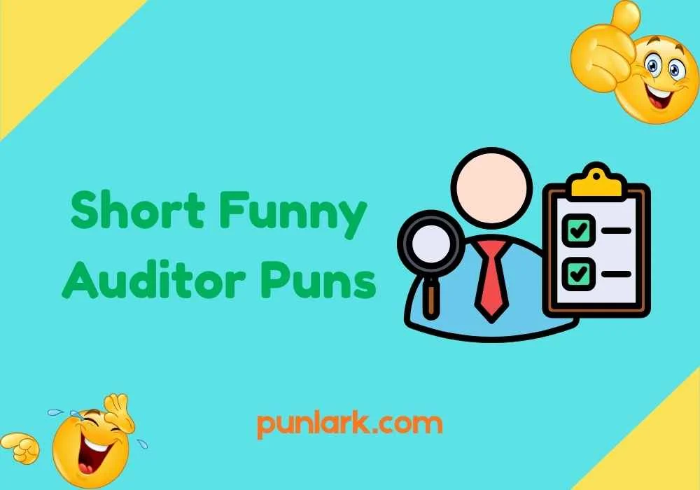Short Funny Auditor Puns