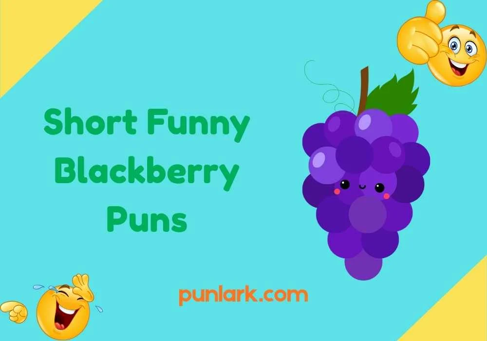 Short Funny Blackberry Puns
