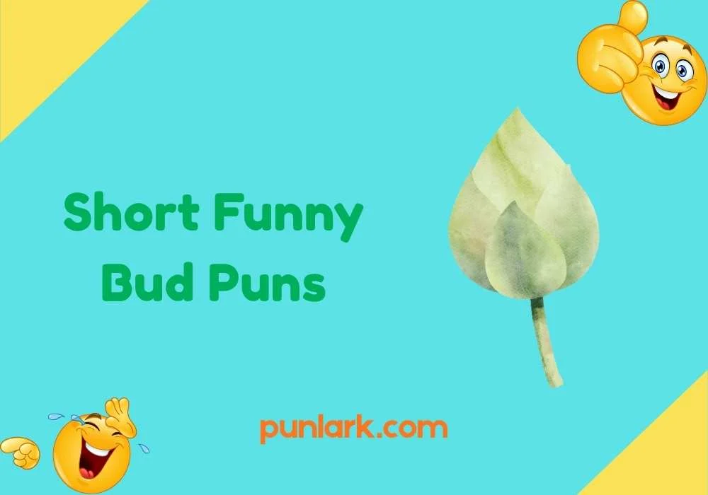 Short Funny Bud Puns