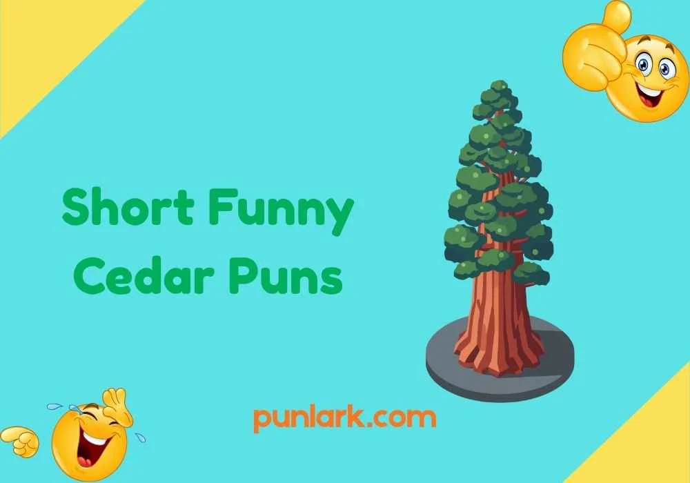 Short Funny Cedar Puns