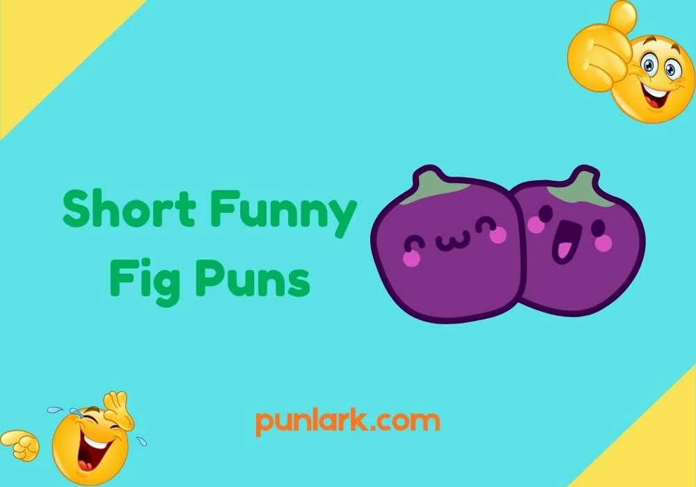 Short Funny Fig Puns