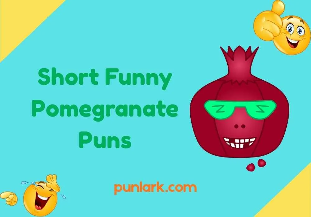 Short Funny Pomegranate Puns