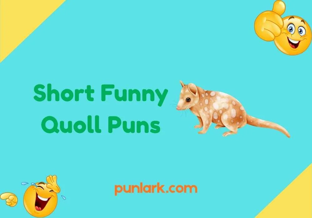 Short Funny Quoll Puns