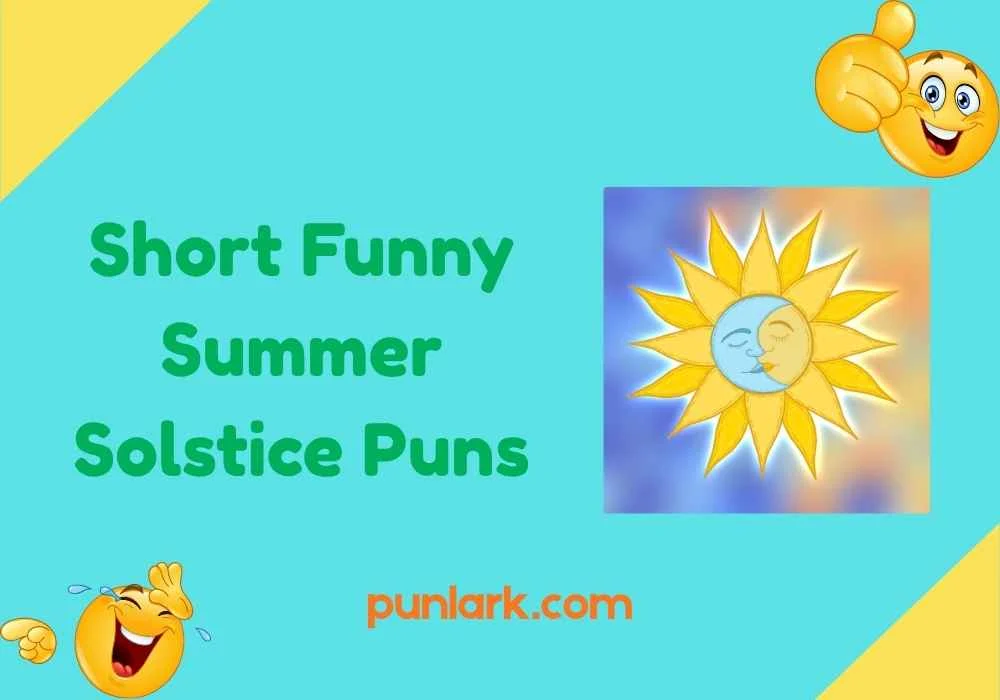 Short Funny Summer Solstice Puns