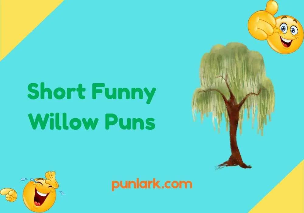Short Funny Willow Puns