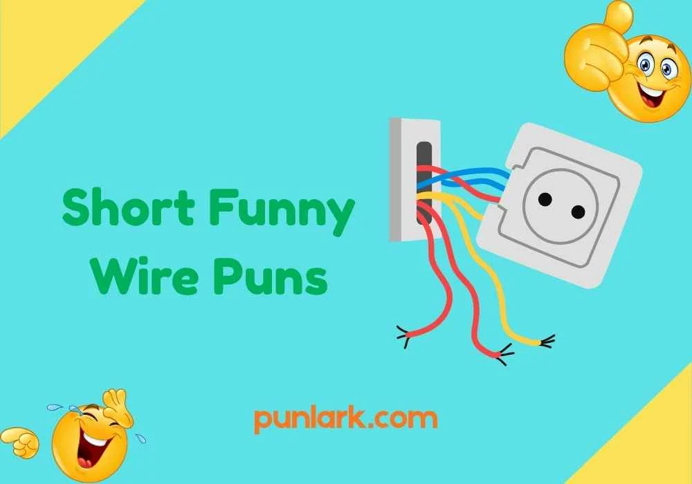 Short Funny Wire Puns