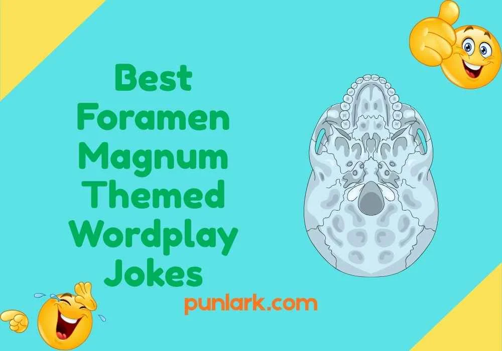 Best Foramen Magnum Themed Wordplay Jokes