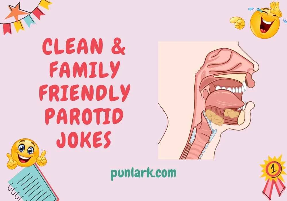 Clean & Family Friendly Parotid Jokes