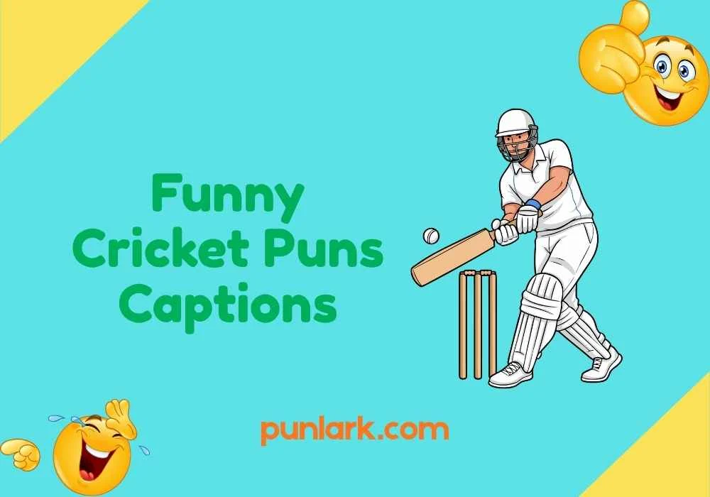 Funny Cricket Puns Captions