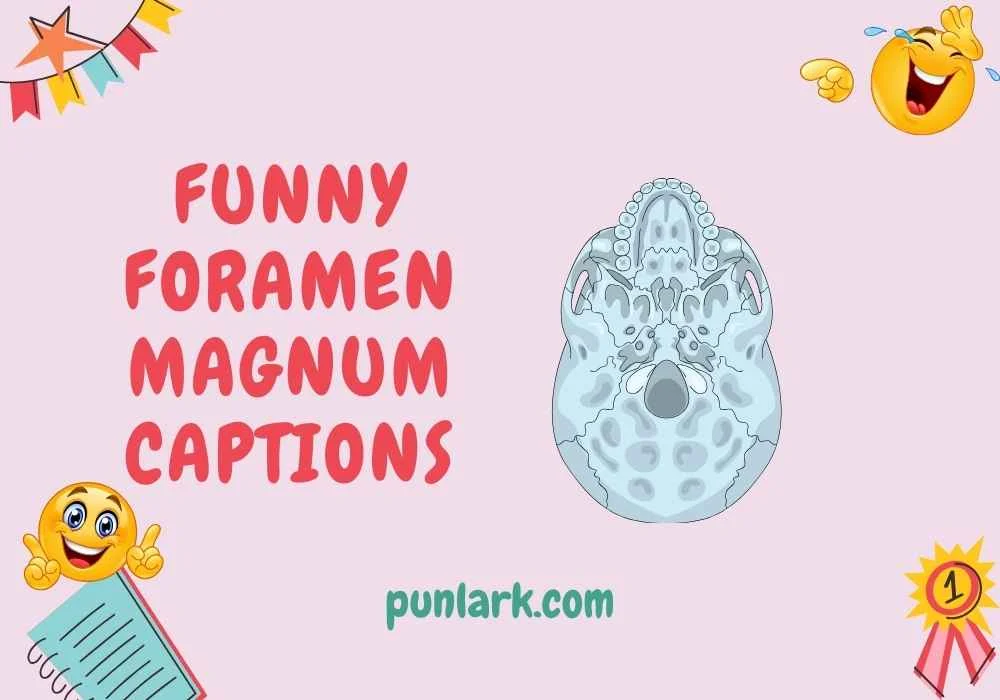 Funny Foramen Magnum Captions