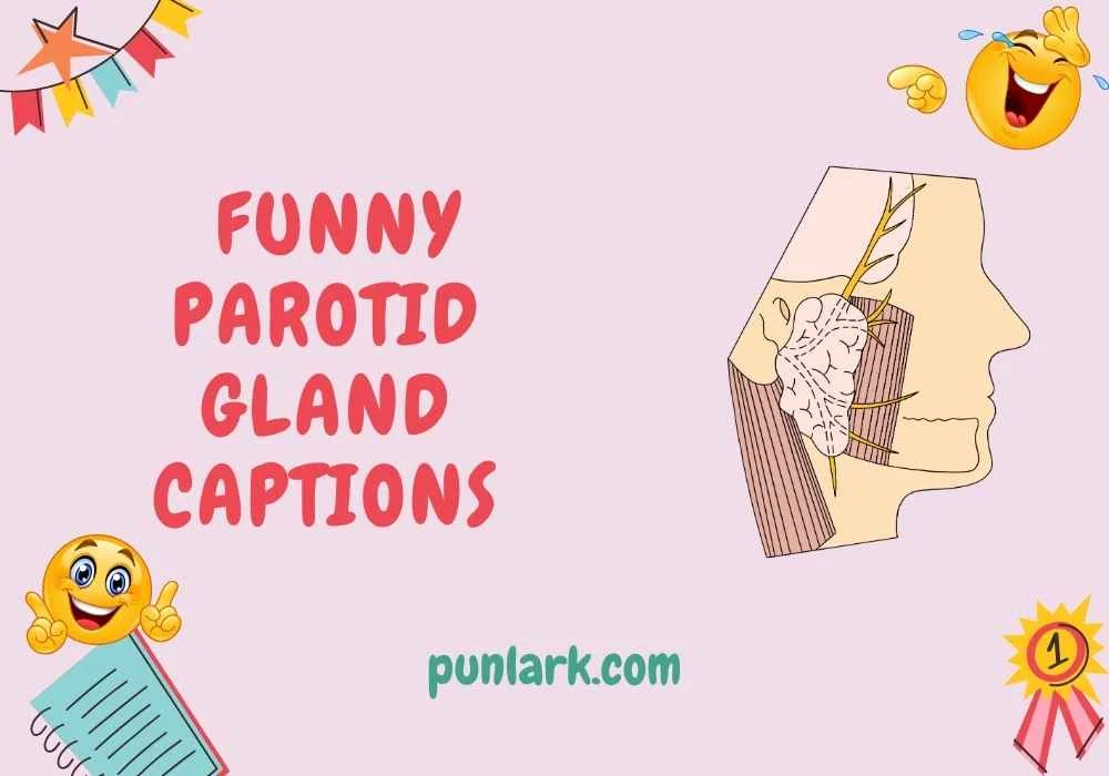 Funny Parotid Gland Captions