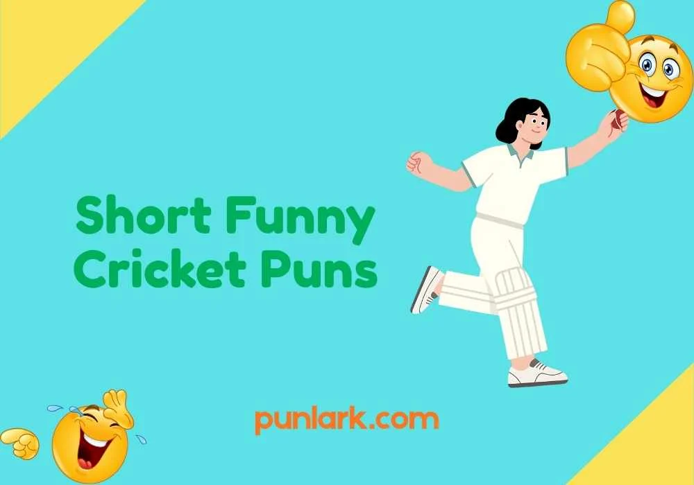 Short Funny Cricket Puns