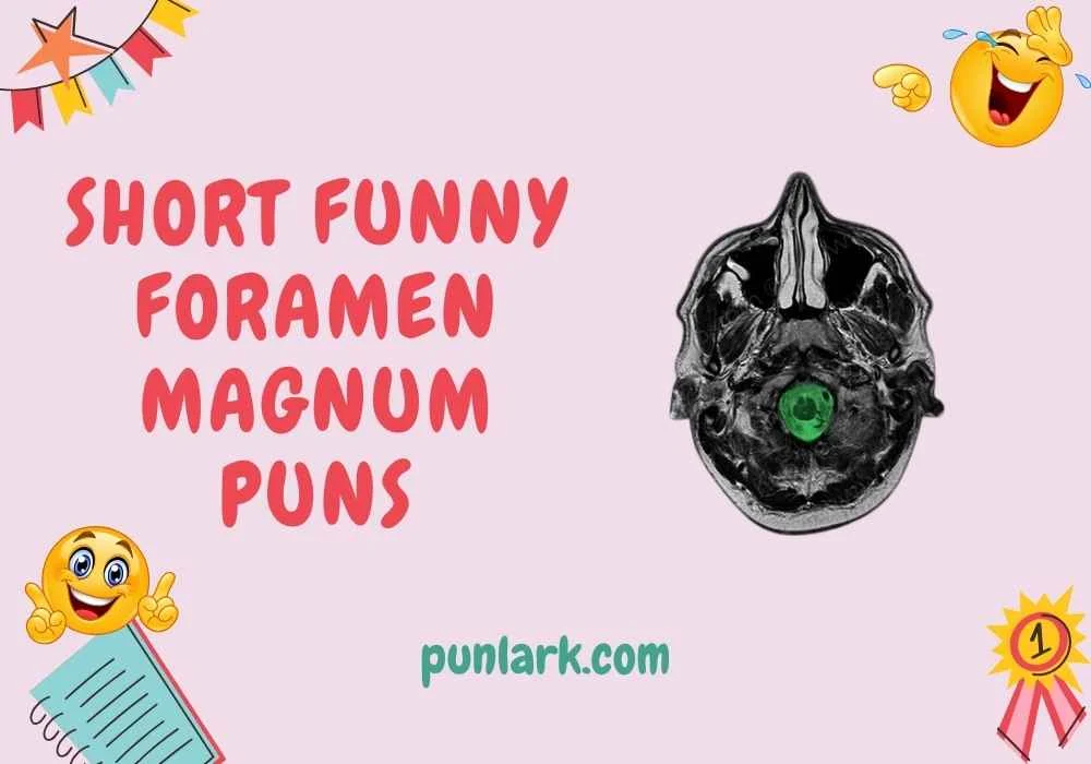 Short Funny Foramen Magnum Puns