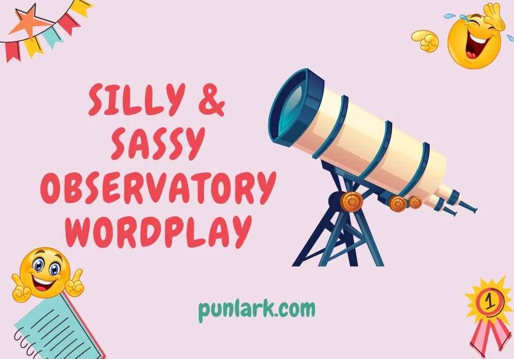 Silly & Sassy Observatory Wordplay