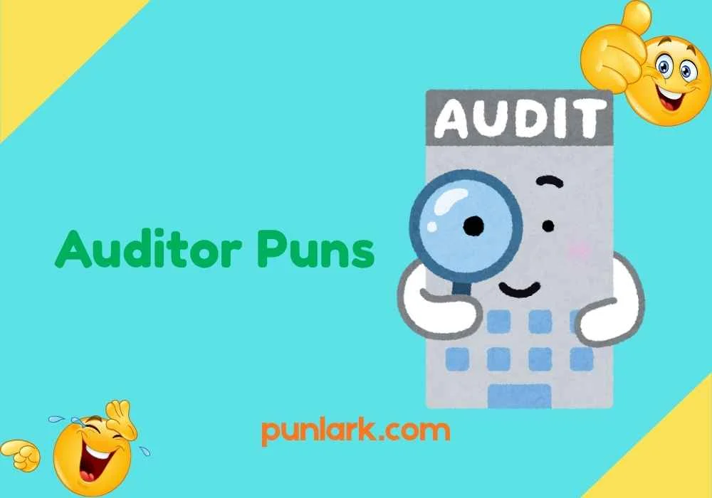 Auditor Puns