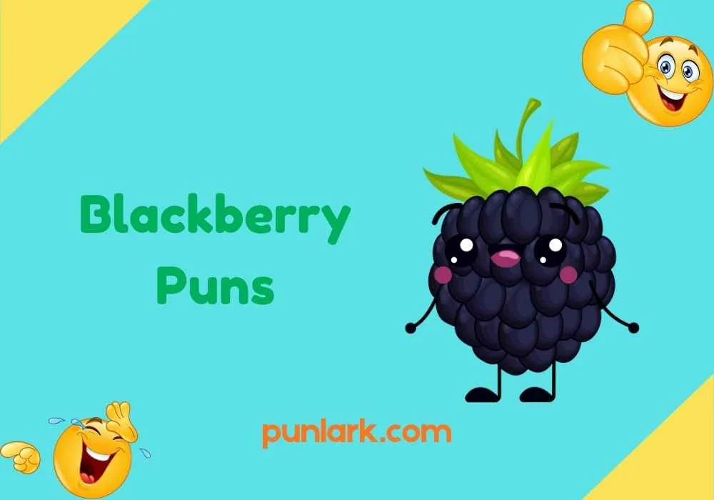 Blackberry Puns