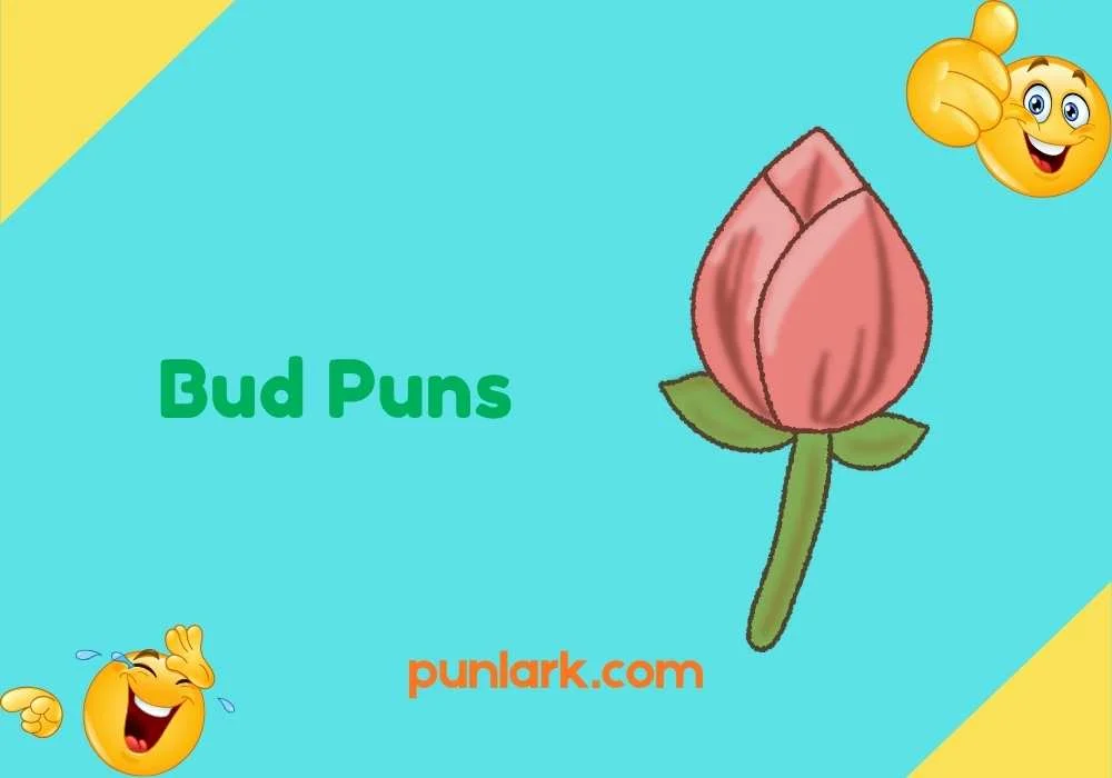 Bud Puns