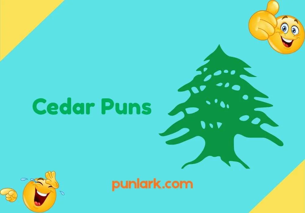 Cedar Puns