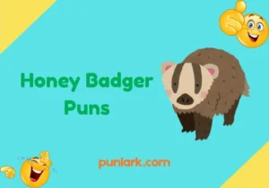 Honey Badger Puns