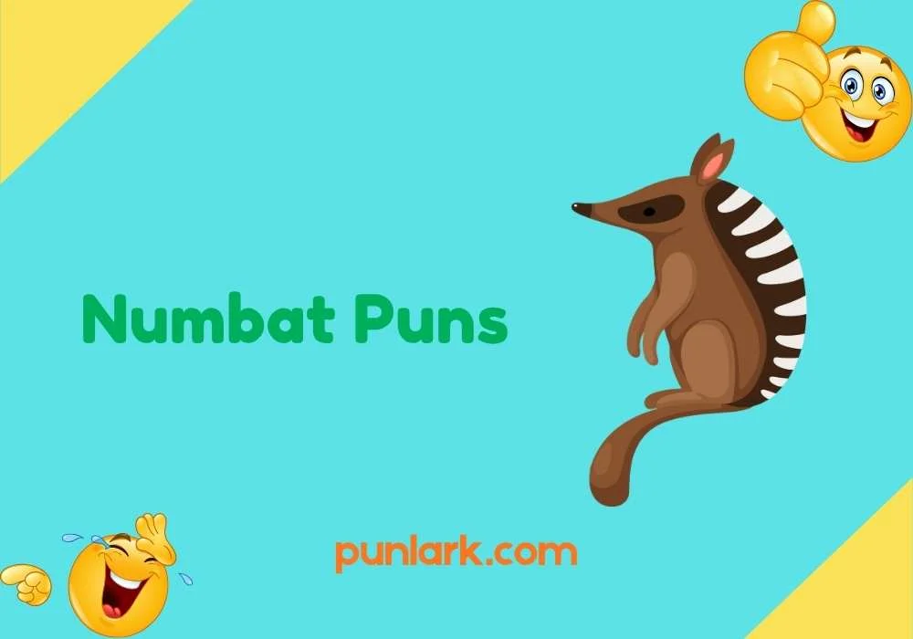 Numbat Puns