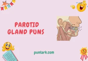 Parotid Gland Puns