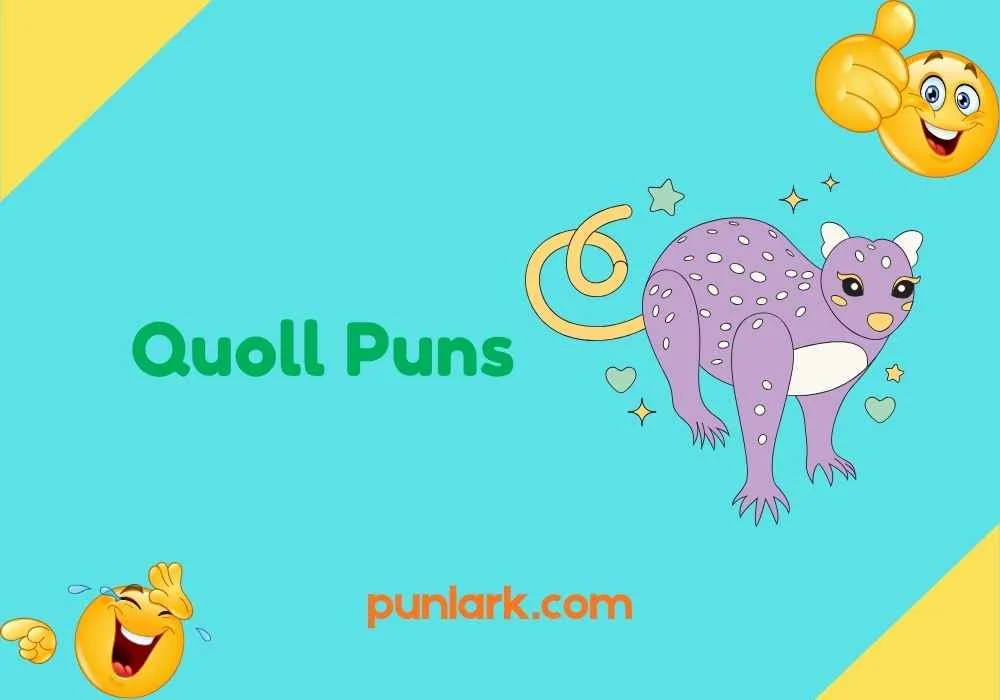 Quoll Puns