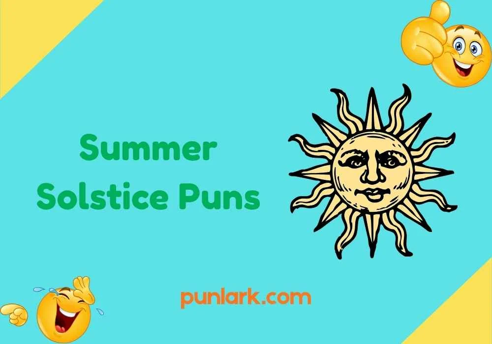 Summer Solstice Puns