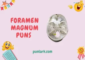 Foramen Magnum Puns