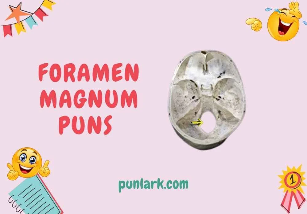Foramen Magnum Puns